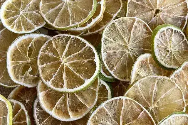 Sliced of Dried Lime