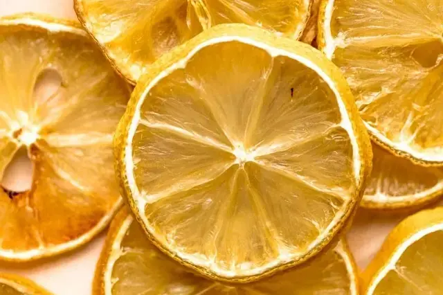 Slices of Dried Lemon